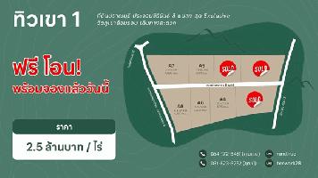 ขายที่ดิน วิวเขา ปราณบุรี ประจวบ ฟรีโอน ฟรี ถมดินสูงกว่าถนน น้ำไฟพร้อมเข้าถึง โทร 081-523-5252